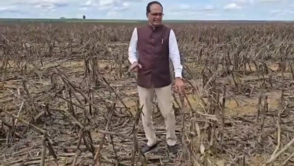 Tomatoes technology and table talk India will learn from Shivraj Singh Chauhan Brazil BRICS visit Tomatoes technology and table talk India will learn from Shivraj Singh Chauhan Brazil BRICS visit