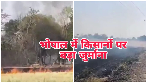 action against those burning stubble 4 farmers fined 37 500 FIR also registered in mp