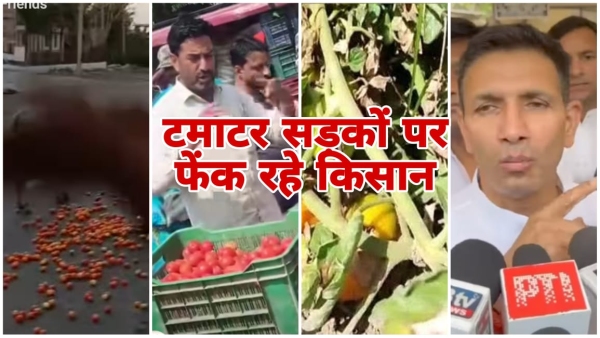 Congress Jitu Patwari gives ultimatum to the government on tomato crisis in MP fair price Congress Jitu Patwari gives ultimatum to the government on tomato crisis in MP fair price