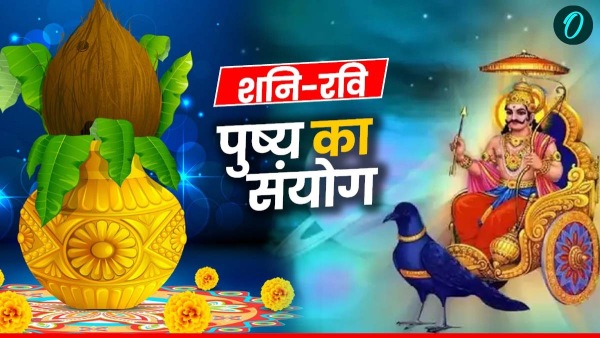 Shani Ravi Pushya 2025 business will get wings it will be chances of getting money details Hindi