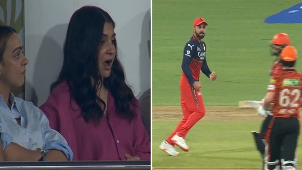 IPL 1