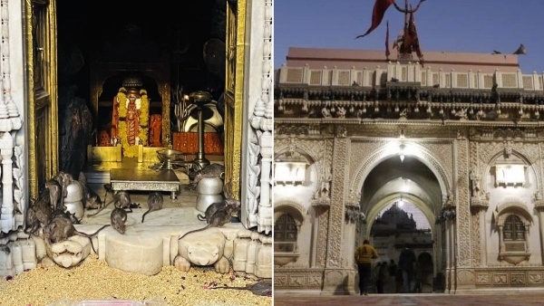 Karni Mata Mandir Karni Mata Mandir