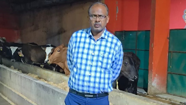 dm maharajganj