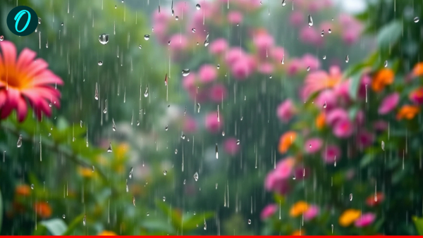 uttar pradesh weather update Lucknow Varanasi uttar pradesh weather update Lucknow Varanasi