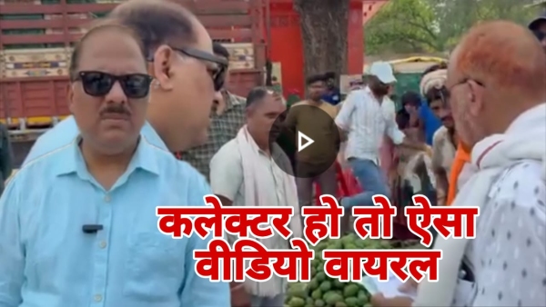 Collector Bedekar video goes viral in Alirajpur reprimands Mandi Secretary over mango prices Collector Bedekar video goes viral in Alirajpur reprimands Mandi Secretary over mango prices