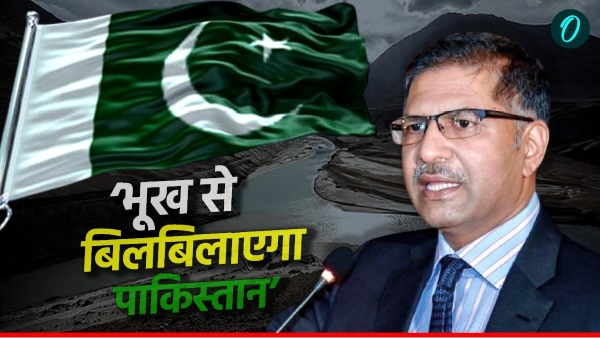 Who is Syed Ali Zafar