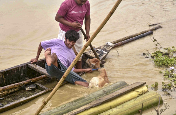 Assam Floods Photos Assam Floods Photos