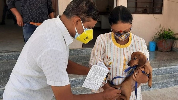 Bihar's Veterinary Services Reach New Heights