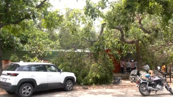 Delhi Delhi
