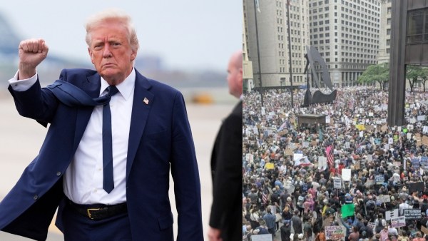 Donald trump Donald trump