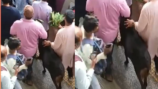 Mumbai local train Mumbai local train