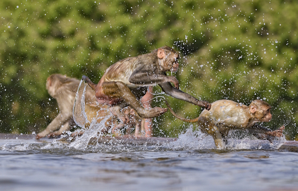 Summer 2025 Summer 2025