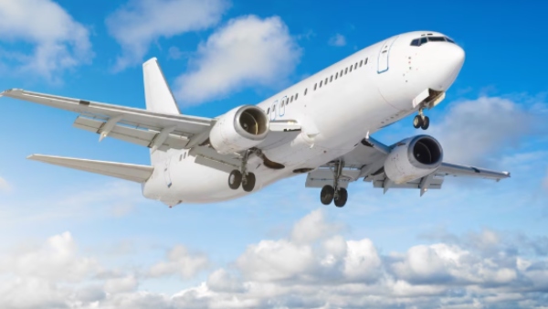 Ahmedabad Plane Crash