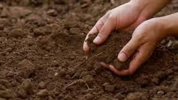 Bihar Farmers Embrace Soil Health Testing