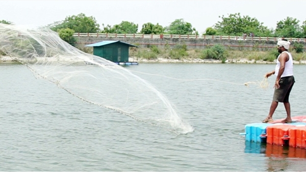 Bihar Launches Fishery Empowerment Schemes