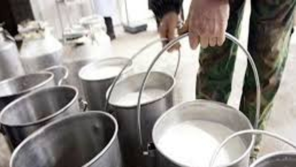 Bihar Milk Federation's Global Expansion