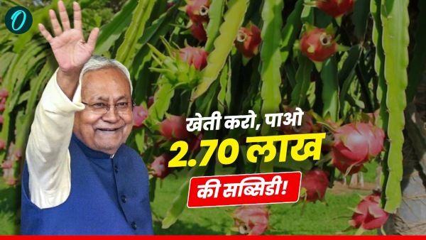 Dragon Fruit Cultivation Scheme Bihar