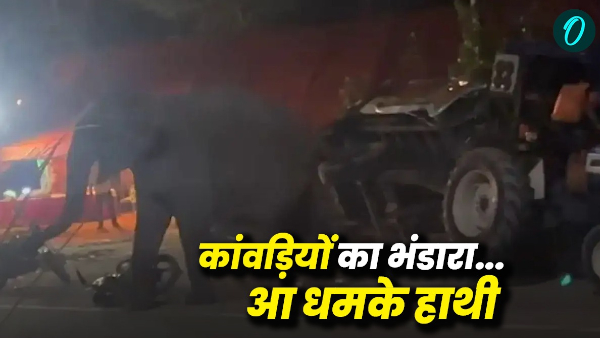 Dehradun news Preparations going feast Kanwariyas suddenly two elephants came out forest ruckus Dehradun news Preparations going feast Kanwariyas suddenly two elephants came out forest ruckus