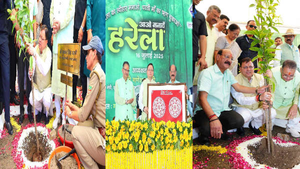 Harela festival celebrated great pomp Uttarakhand Dhami government plant 5 lakh saplings 2389 places