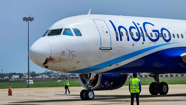 IndiGo