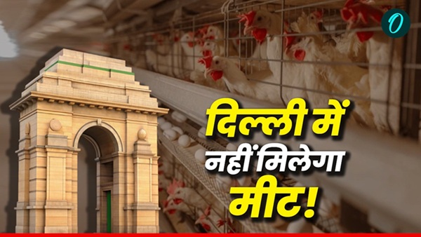 Meat Shops