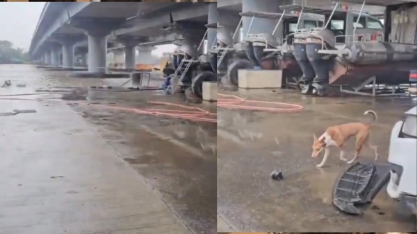 navi-mumbai-google-maps-ditch navi-mumbai-google-maps-ditch