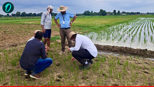 Farming India sensor based