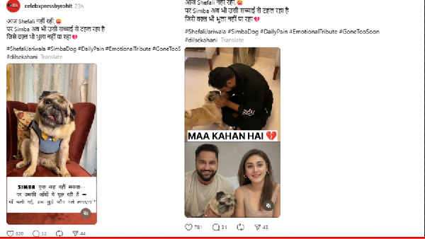 Shefali Jariwala Simba Death Shefali Jariwala Simba Death