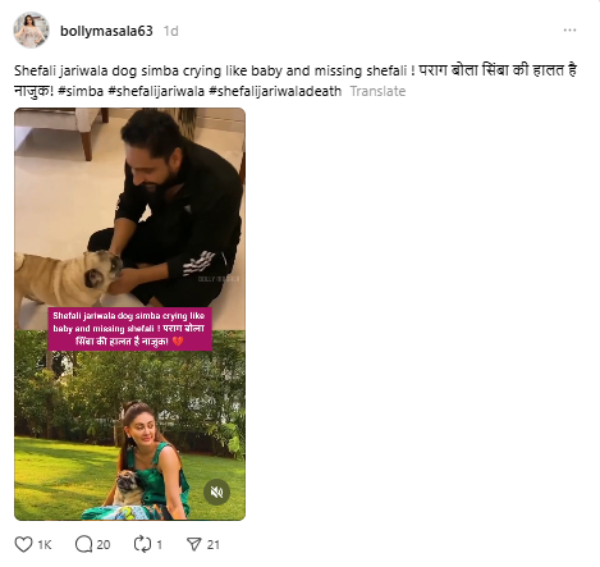 Shefali Jariwala Simba Death Shefali Jariwala Simba Death