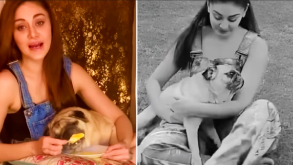 Shefali Jariwala Simba Death Shefali Jariwala Simba Death