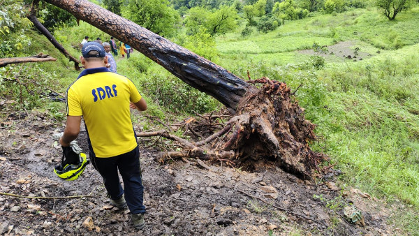 Tehri Ghansali Major accident two school students returning school died hit by tree