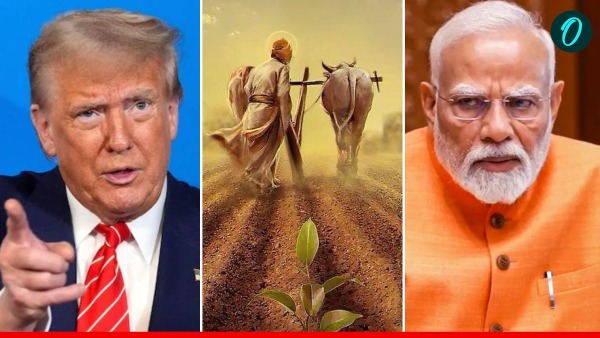 india-us-farm-frade-trump-50-tariff