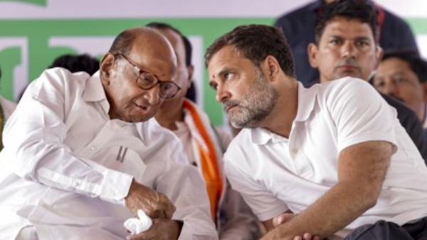 Sharad Pawar Rahul Gandhi Sharad Pawar Rahul Gandhi