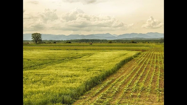 Bihar Launches Digital Crop Survey Initiative