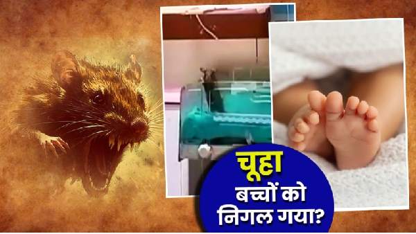 Indore Hospital Rats Attack