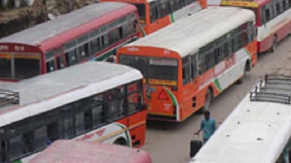 bus
