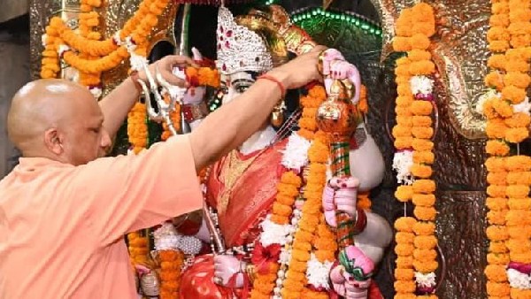 cm yogi