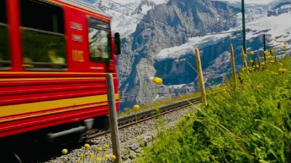 train