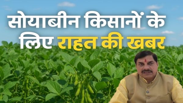 CM Mohan Yadav announces Bhavantar Yojana for soybean farmers if sale is below MSP CM Mohan Yadav announces Bhavantar Yojana for soybean farmers if sale is below MSP