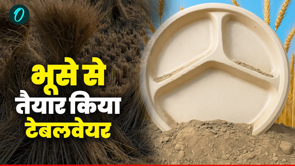 IIT Roorkee created tableware from straw Learn about pollution stubble well benefits farmers IIT Roorkee created tableware from straw Learn about pollution stubble well benefits farmers