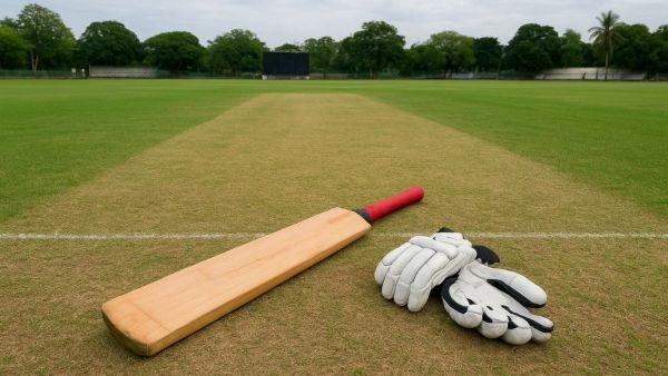 cricket