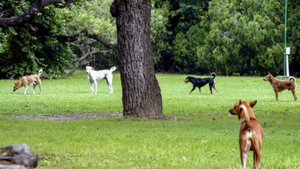 Karnataka News Karnataka News