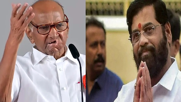 Maharashtra local body election Maharashtra local body election