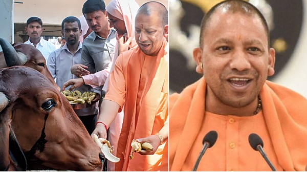 Uttar Pradesh Kamdhenu Dairy Scheme Success Story Uttar Pradesh Kamdhenu Dairy Scheme Success Story