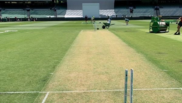 mcg pitch verdict