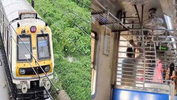 Mumbai Local Train Mumbai Local Train