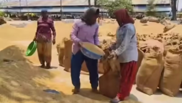 Paddy procurement crackdown in Chhattisgarh