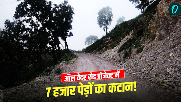 All-Weather Road Project 7000 trees felled Learn controversy surrounding Gangotri Highway Uttarkashi All-Weather Road Project 7000 trees felled Learn controversy surrounding Gangotri Highway Uttarkashi
