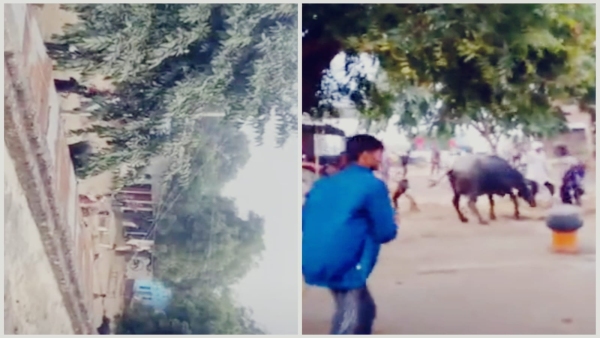 Clashes between two sides in Morena Devgarh Arjunpura stone pelting close to Agriculture Minister Clashes between two sides in Morena Devgarh Arjunpura stone pelting close to Agriculture Minister