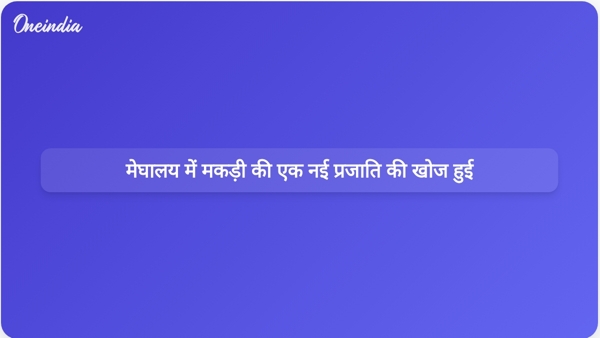  मेघालय में मकड़ी की एक नई प्रजाति की खोज हुई